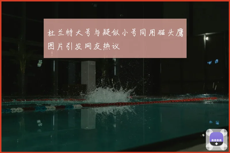 杜兰特大号与疑似小号同用猫头鹰图片引发网友热议