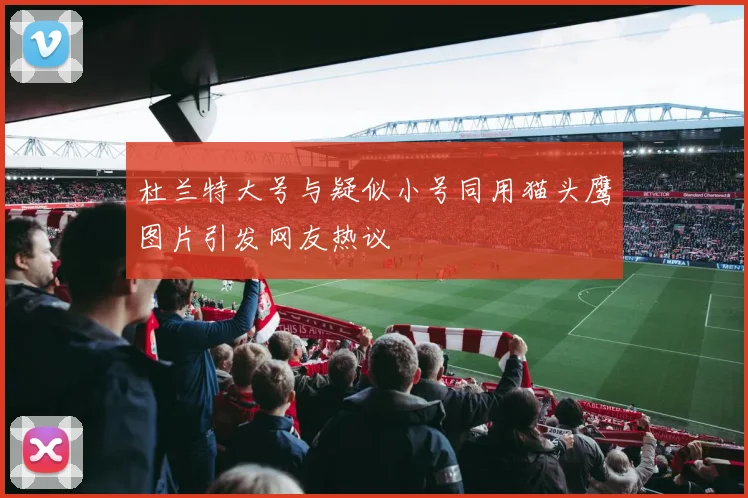 杜兰特大号与疑似小号同用猫头鹰图片引发网友热议