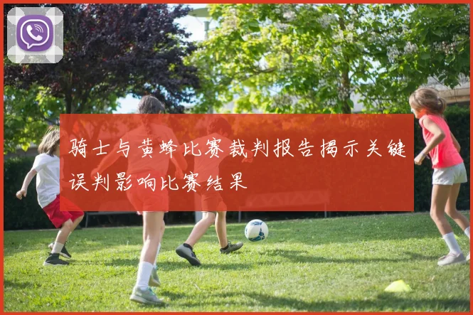 骑士与黄蜂比赛裁判报告揭示关键误判影响比赛结果