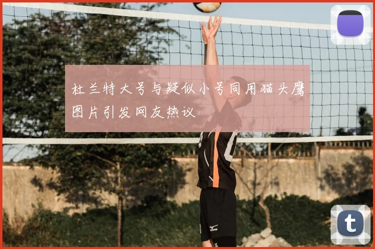 杜兰特大号与疑似小号同用猫头鹰图片引发网友热议