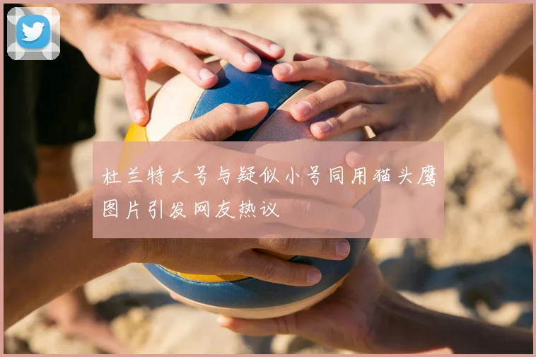 杜兰特大号与疑似小号同用猫头鹰图片引发网友热议