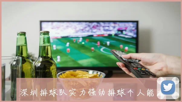 深圳排球队实力强劲排球个人能力排行榜揭晓第4名成就辉煌