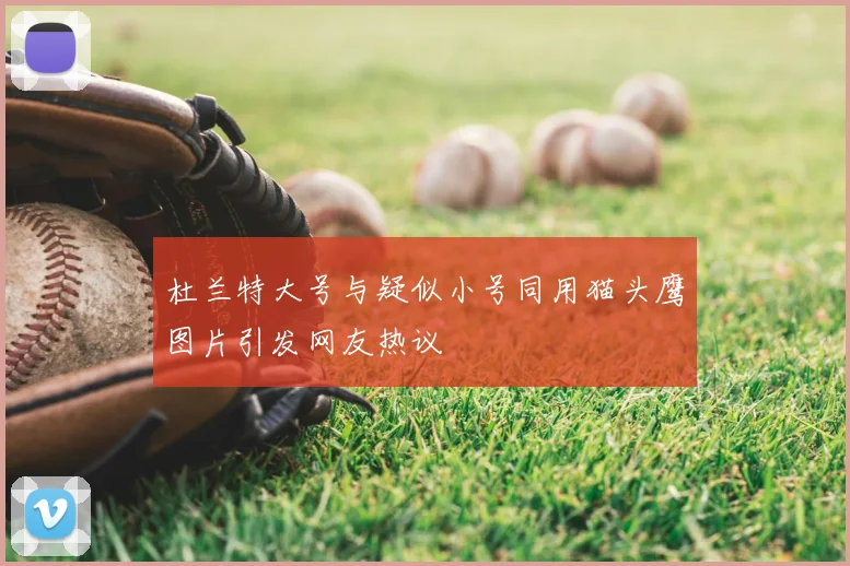 杜兰特大号与疑似小号同用猫头鹰图片引发网友热议