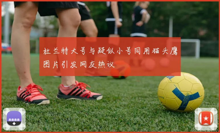 杜兰特大号与疑似小号同用猫头鹰图片引发网友热议