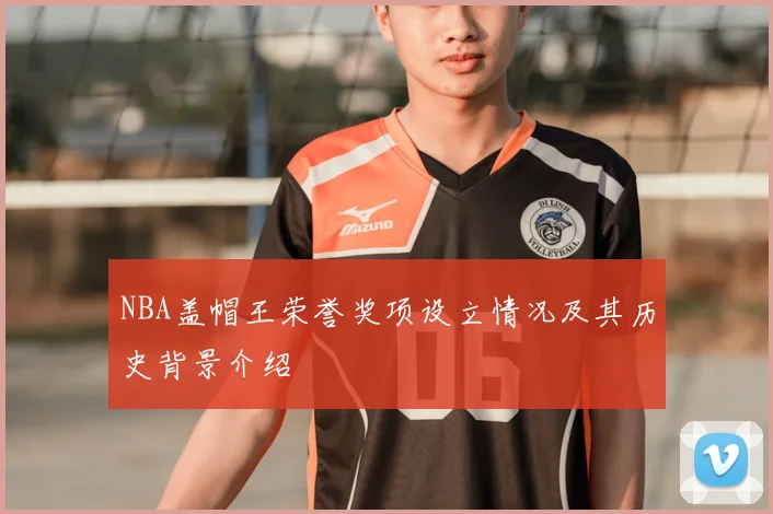 NBA盖帽王荣誉奖项设立情况及其历史背景介绍