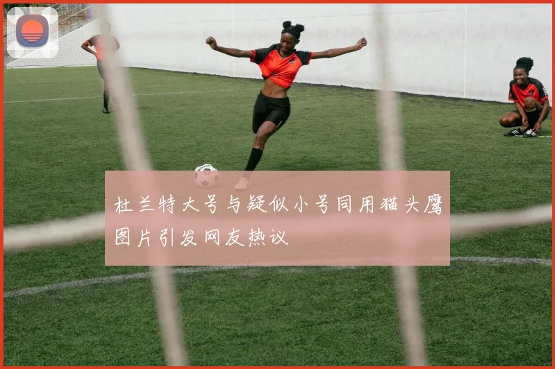 杜兰特大号与疑似小号同用猫头鹰图片引发网友热议