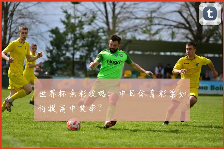 世界杯竞彩攻略：中目体育彩票如何提高中奖率？