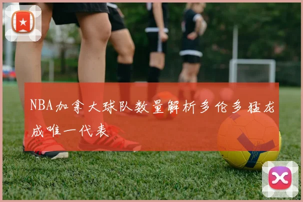 NBA加拿大球队数量解析多伦多猛龙成唯一代表