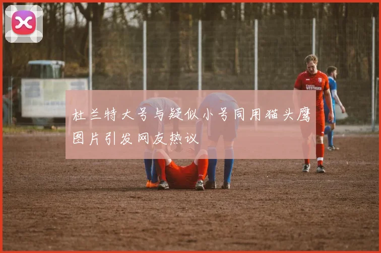 杜兰特大号与疑似小号同用猫头鹰图片引发网友热议