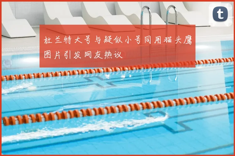 杜兰特大号与疑似小号同用猫头鹰图片引发网友热议