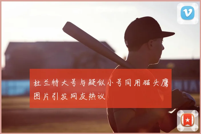 杜兰特大号与疑似小号同用猫头鹰图片引发网友热议