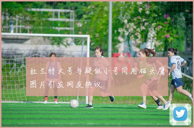 杜兰特大号与疑似小号同用猫头鹰图片引发网友热议