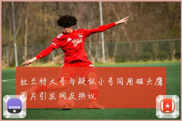 杜兰特大号与疑似小号同用猫头鹰图片引发网友热议