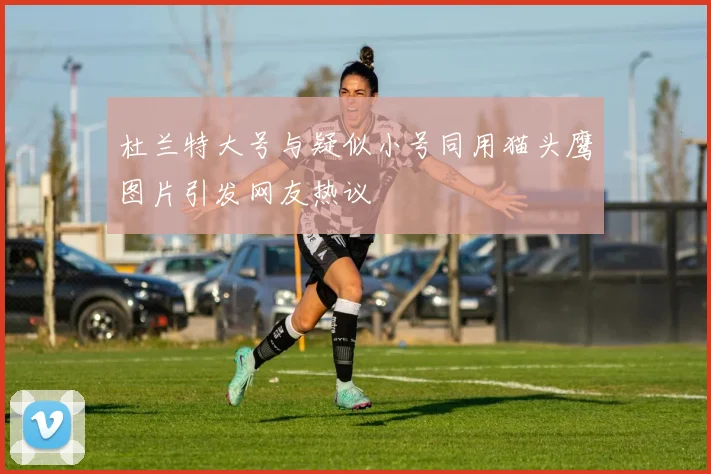 杜兰特大号与疑似小号同用猫头鹰图片引发网友热议