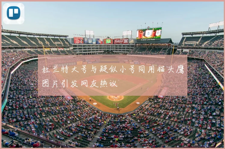 杜兰特大号与疑似小号同用猫头鹰图片引发网友热议