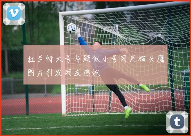 杜兰特大号与疑似小号同用猫头鹰图片引发网友热议