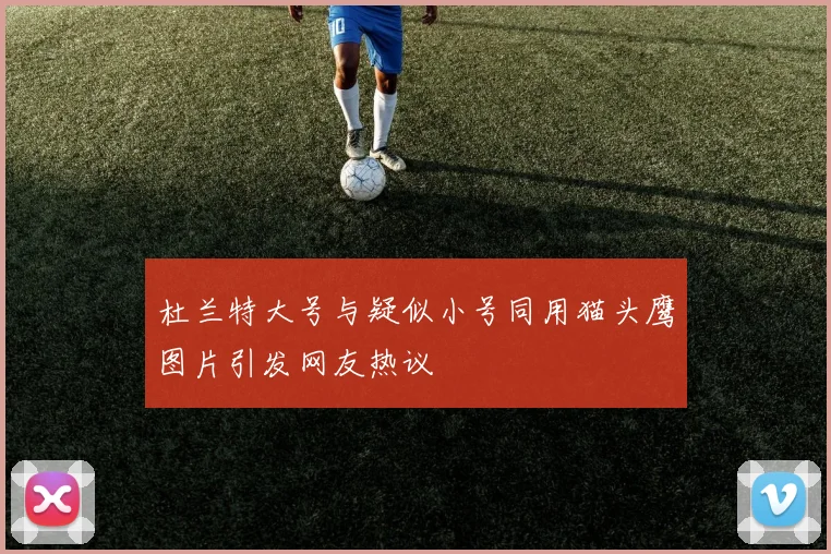 杜兰特大号与疑似小号同用猫头鹰图片引发网友热议