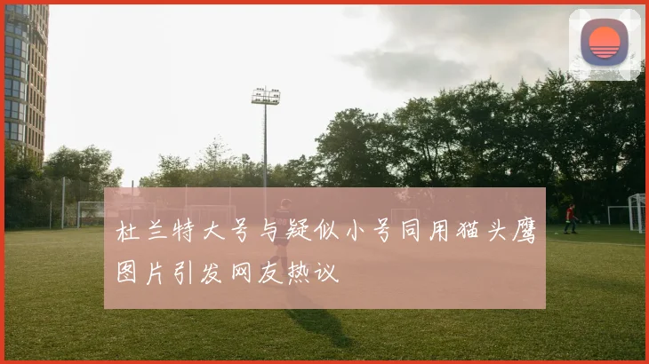 杜兰特大号与疑似小号同用猫头鹰图片引发网友热议