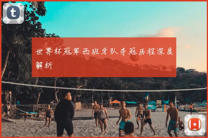 世界杯冠军西班牙队夺冠历程深度解析