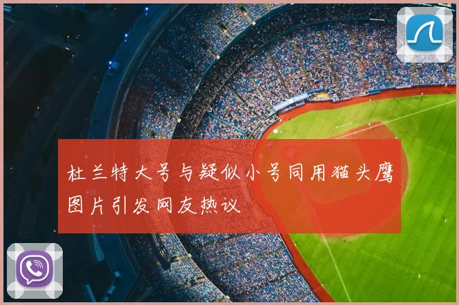 杜兰特大号与疑似小号同用猫头鹰图片引发网友热议